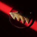 Four golden plant-based beef samosas on a red plate under moody lighting – Amoria Foods vegan mince snack