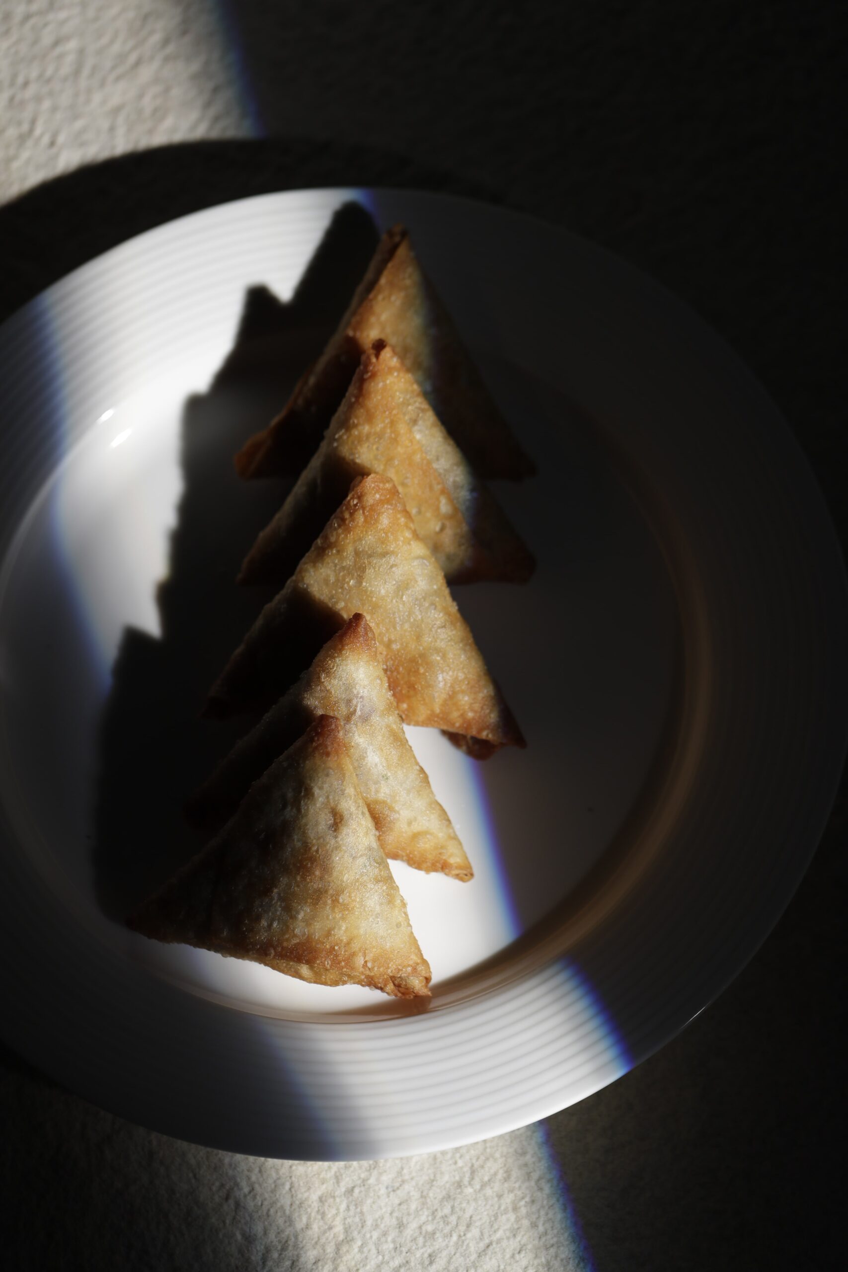 Plant-based Samosa